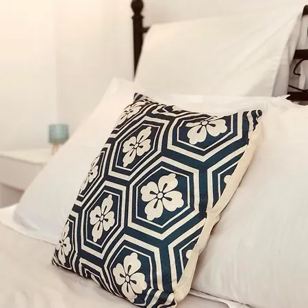 κατικία דריוס